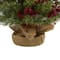 4ft. Pre-Lit Berry & Pine Artificial Christmas Tree, Warm White Lights